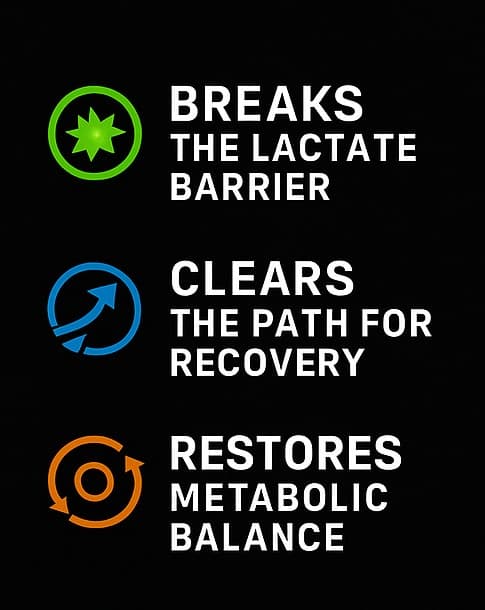 LactoClear Process - Vertical